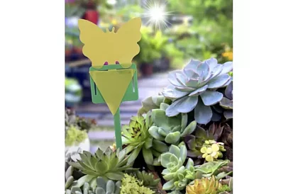 Lapače na hmyz Repest – 12 sztuk