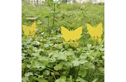 Lapače na hmyz Repest – 12 sztuk