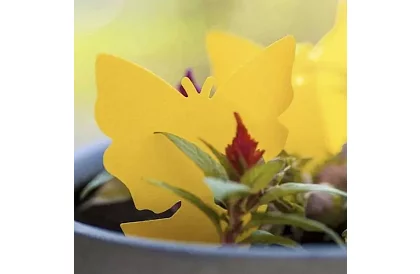 Lapače na hmyz Repest – 12 sztuk