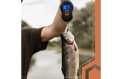 Waga bagażowa z hakiem – do 50 kg