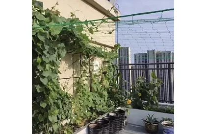 Sieciowe wsparcie dla roślin 2x20 m