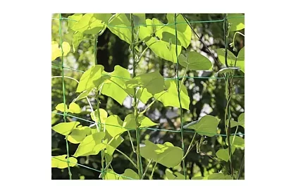 Sieciowe wsparcie dla roślin 2x20 m