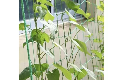 Sieciowe wsparcie dla roślin 2x10 m