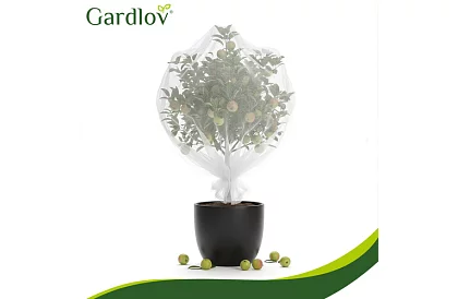 Siatka ochronna do ogrodu 3 × 6 m