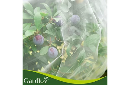 Siatka ochronna do ogrodu 3 × 6 m