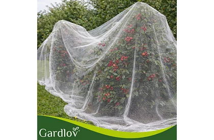 Siatka ochronna do ogrodu 3 × 6 m