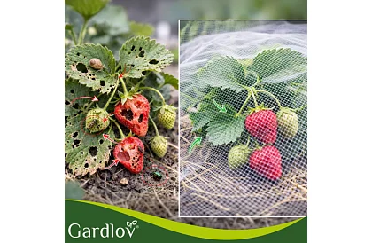 Siatka ochronna do ogrodu 3 × 6 m