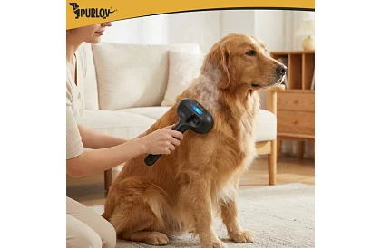 Elektryczna parowa szczotka do czesania – ładowalna