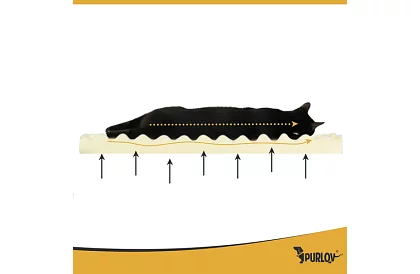 Ortopedyczny legowisko 80 × 65 × 19 cm – M