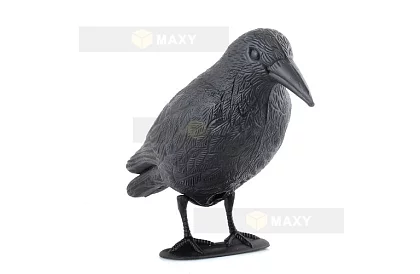 Wieszaczka odstraszająca – kruk