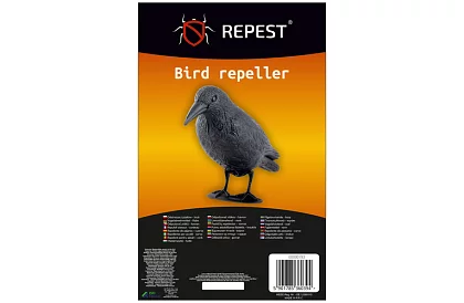 Wieszaczka odstraszająca – kruk