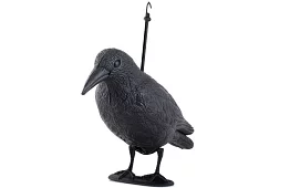 Wieszaczka odstraszająca – kruk