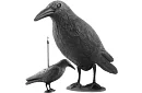 Wieszaczka odstraszająca – kruk