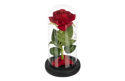 Wieczna róża w szkle z oświetleniem LED