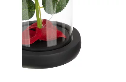 Wieczna róża w szkle z oświetleniem LED