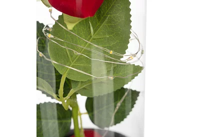 Wieczna róża w szkle z oświetleniem LED