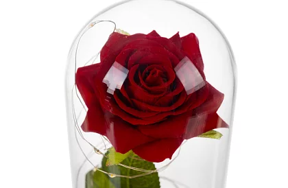 Wieczna róża w szkle z oświetleniem LED