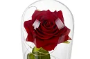Wieczna róża w szkle z oświetleniem LED