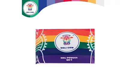 Zestaw kolorowych proszków Holi Powder 10×100 g