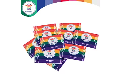 Zestaw kolorowych proszków Holi Powder 10×100 g