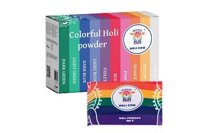Zestaw kolorowych proszków Holi Powder 10×100 g