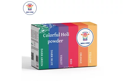 Zestaw kolorowych proszków Holi Powder 6×100 g