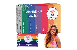 Zestaw kolorowych proszków Holi Powder 6×100 g