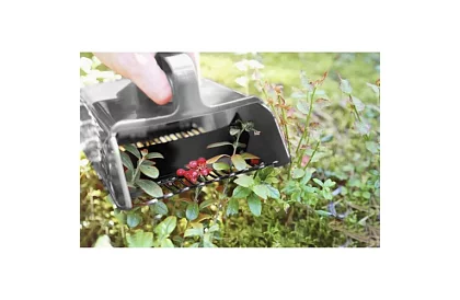 Grzebień do jagód – ręczny zbieracz owoców