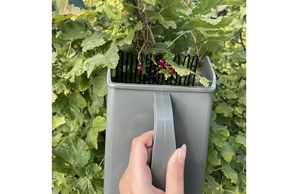 Grzebień do jagód – ręczny zbieracz owoców