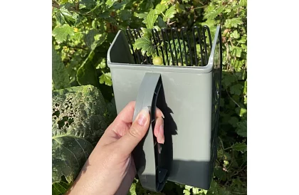 Grzebień do jagód – ręczny zbieracz owoców