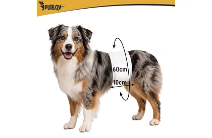 Pieluchy dla psów chłonne majtki 12 szt. M - L – dla psów 46–60 cm