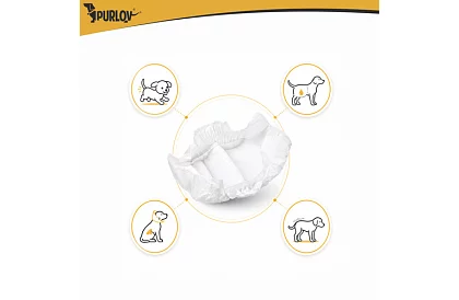 Psie pieluchy chłonne majtki 12 szt. S-M – dla psów 30–46 cm