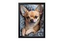 Przytulny towarzysz - obraz - Urocza chihuahua w miękkim legowisku 17