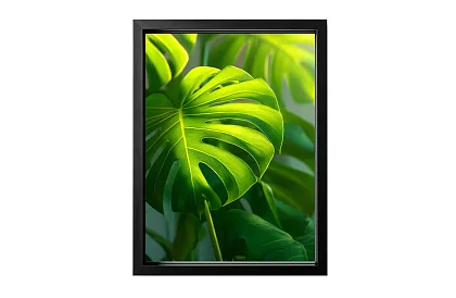 Tropikalny liść - obraz - Monstera w nowoczesnym stylu naturalnym 45