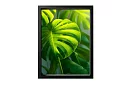 Tropikalny liść - obraz - Monstera w nowoczesnym stylu naturalnym 45