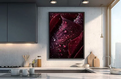 Kapki pasji - obraz - Szczegół róży z kroplami wody 61