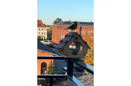 Drewniana budka dla ptaków do montażu i malowania