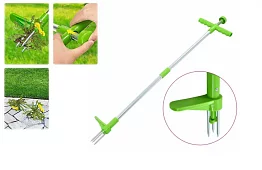 Chwastownik - SpinOut