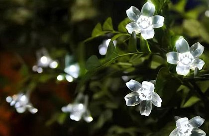 Dekoracyjny łańcuch solarny zewnętrzny z 40 diodami LED - Lights Flowers