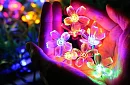 Dekoracyjny łańcuch solarny zewnętrzny z 40 diodami LED - Lights Flowers