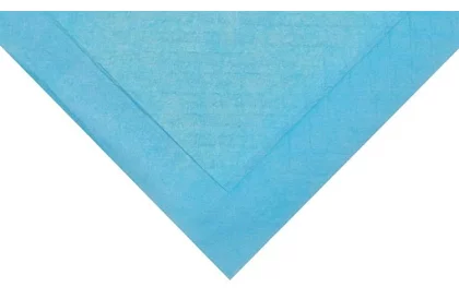 Absorpcyjna wkładka higieniczna - zestaw 50 szt.