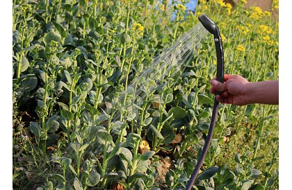 Przenośny prysznic turystyczny - kempingowy