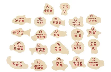 Gra wędkarska – łowienie na magnes - 25 elementów