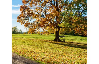Huśtawka - gniazdo bociana czarne - 100 cm / 150 kg