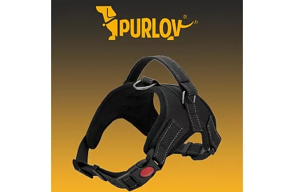 Beztlakowy szelki dla psów - Rozmiar L