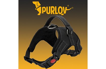 Beztlakowy szelki dla psów - Rozmiar M