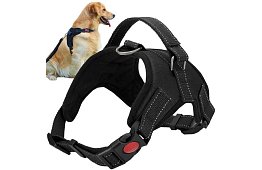 Beztlakowy szelki dla psów - Rozmiar M