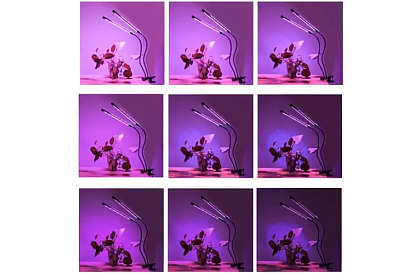 LED lampa do wzrostu roślin DUO – z timerem i sterowaniem