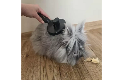 Samooczyszczająca szczotka do sierści