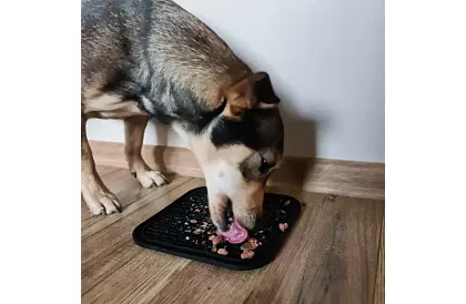 Maty antystresowa dla psów